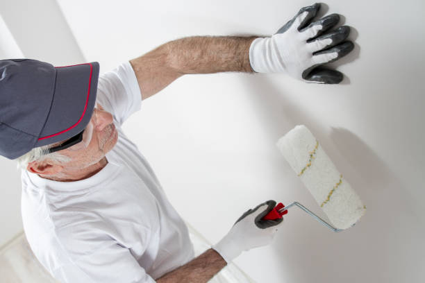 Best Drywall Removal and Disposal  in South Pekin, IL